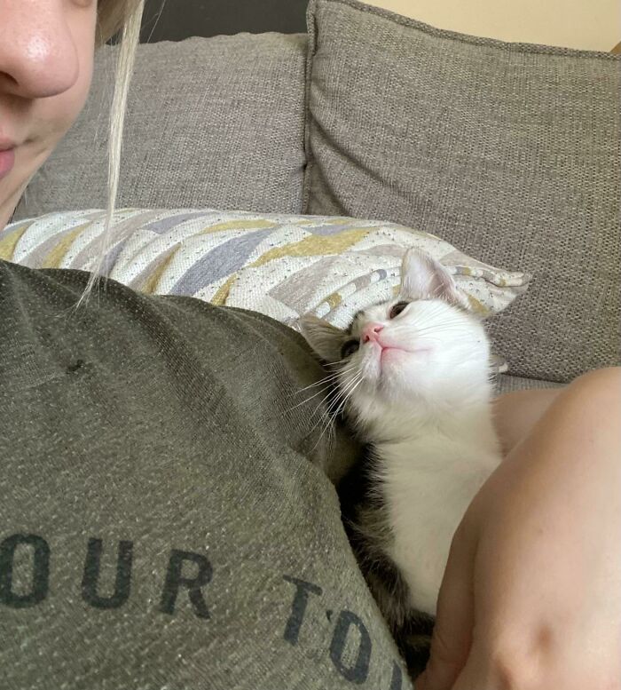 I Think My Rescue Kitten Loves Me