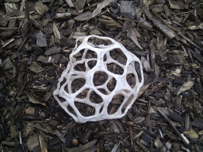 Weird Geometric Fungus