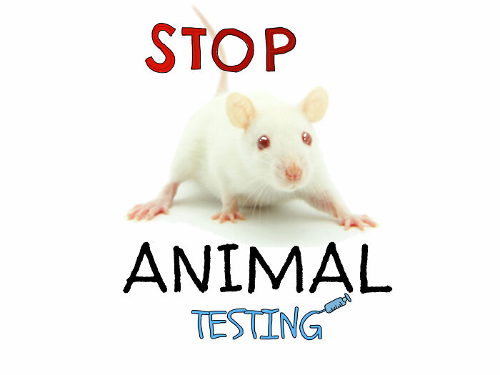 Animals Are People Too! And They Deserve Better Than This!