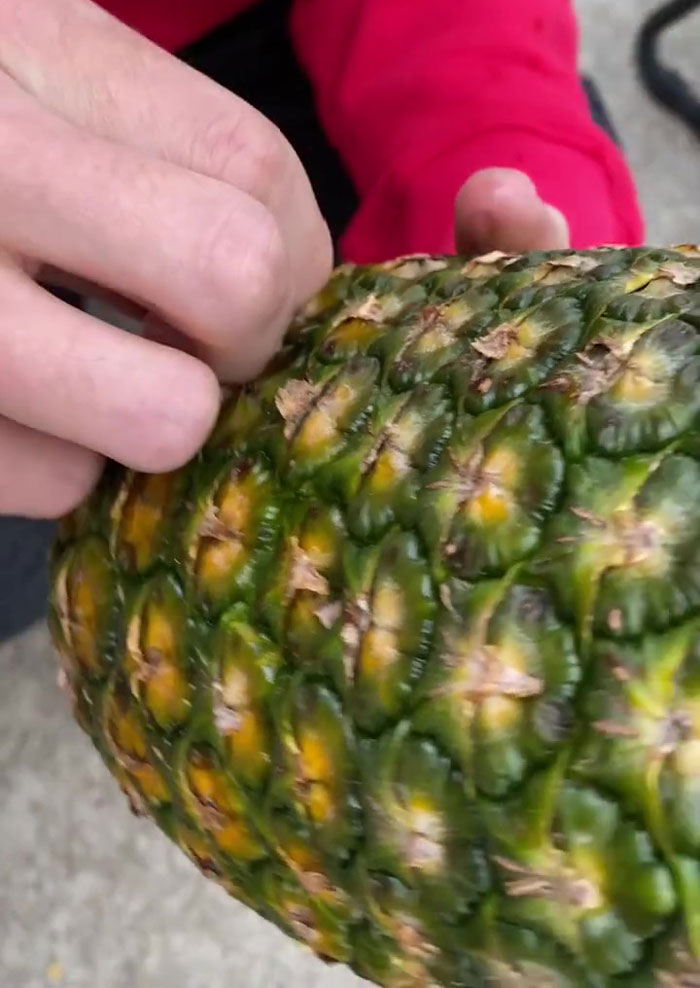 32+ Million People Can’t Stop Watching This Video Of How To ‘Correctly’ Eat Pineapples