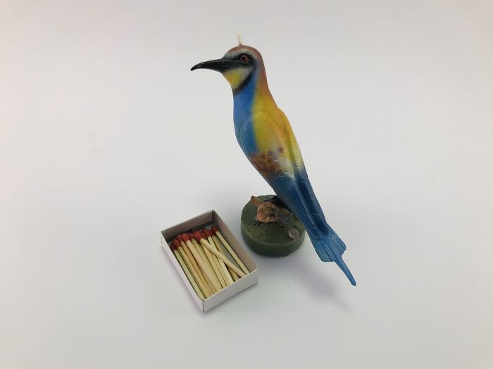 Creating Beeswax Painted Candles, Of Rare Or Near Extinction Birds.