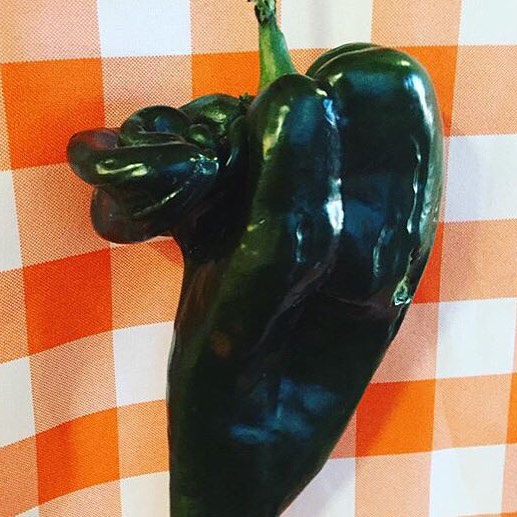 The Rare Dragon Pepper - Guaranteed To Breath Fire And Spice Into Your Meal