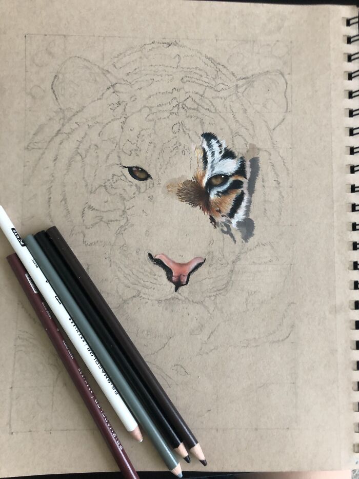 A Tiger Drawing Im Currently Working On :) (More Of My Work Can Be Seen @art_by_juliaaa On Instagram)