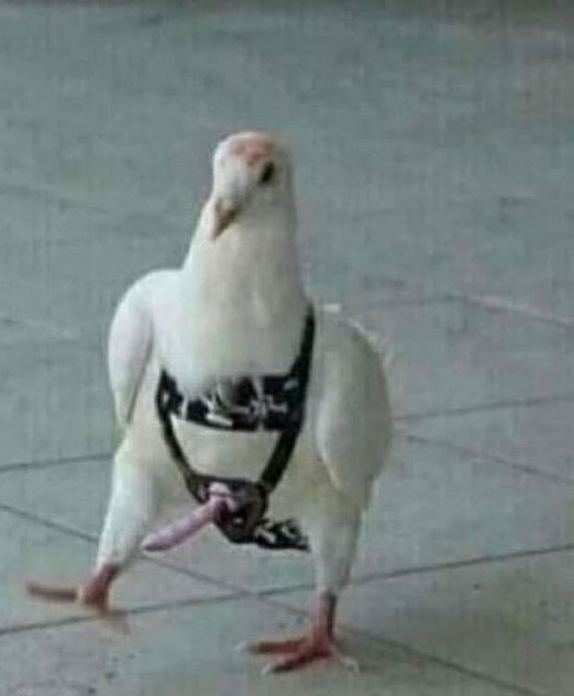 Dual pecker