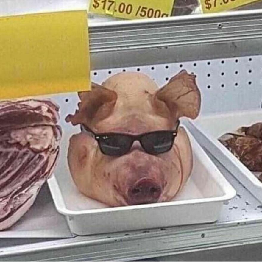 Can’t really be mad tho
He just vibin Can’t really be mad tho
He just vibin