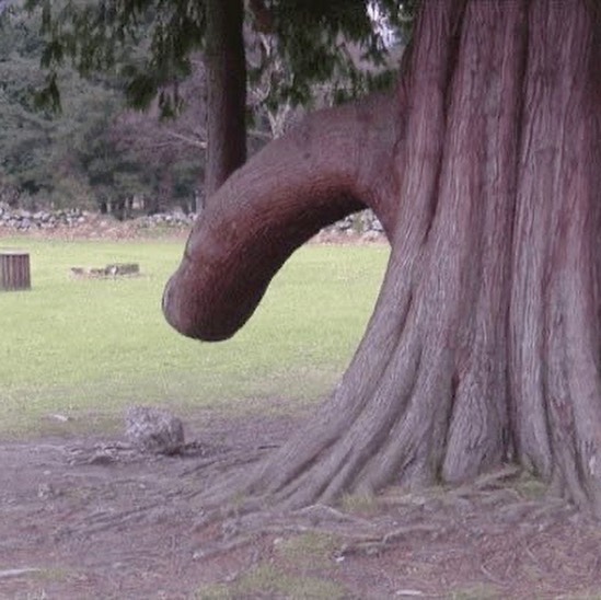 😳🤭