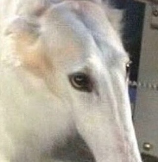cursed-aesthetic-funny-pics cursed-aesthetic-funny-pics