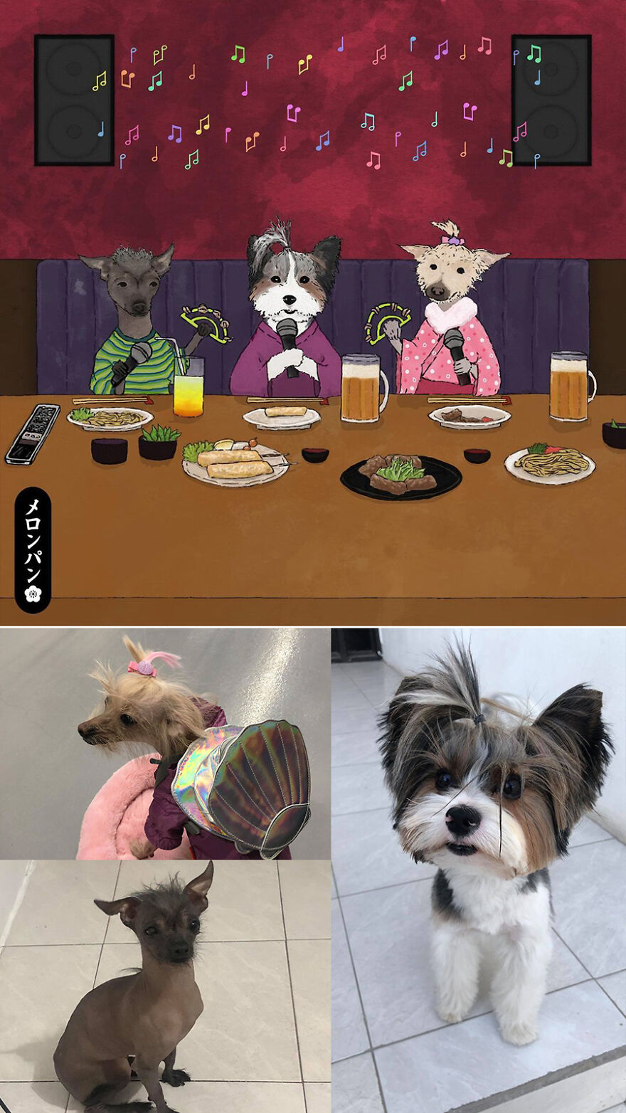 I Captured The Personalities Of These Pets To Make My 13 Latest Illustrations