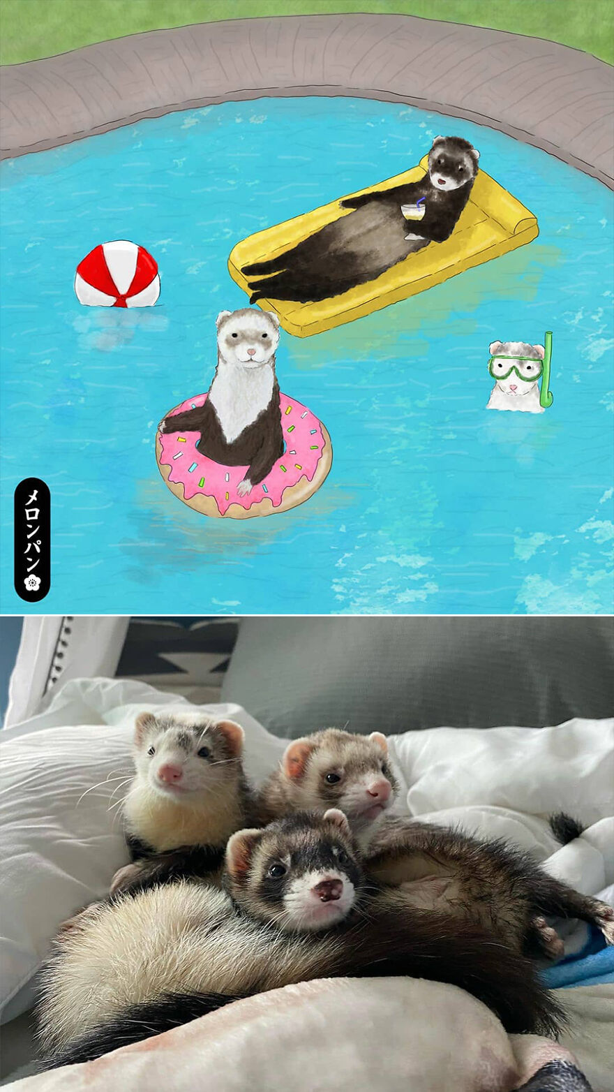 I Captured The Personalities Of These Pets To Make My 13 Latest Illustrations