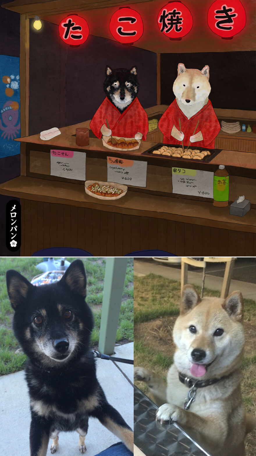 I Captured The Personalities Of These Pets To Make My 13 Latest Illustrations