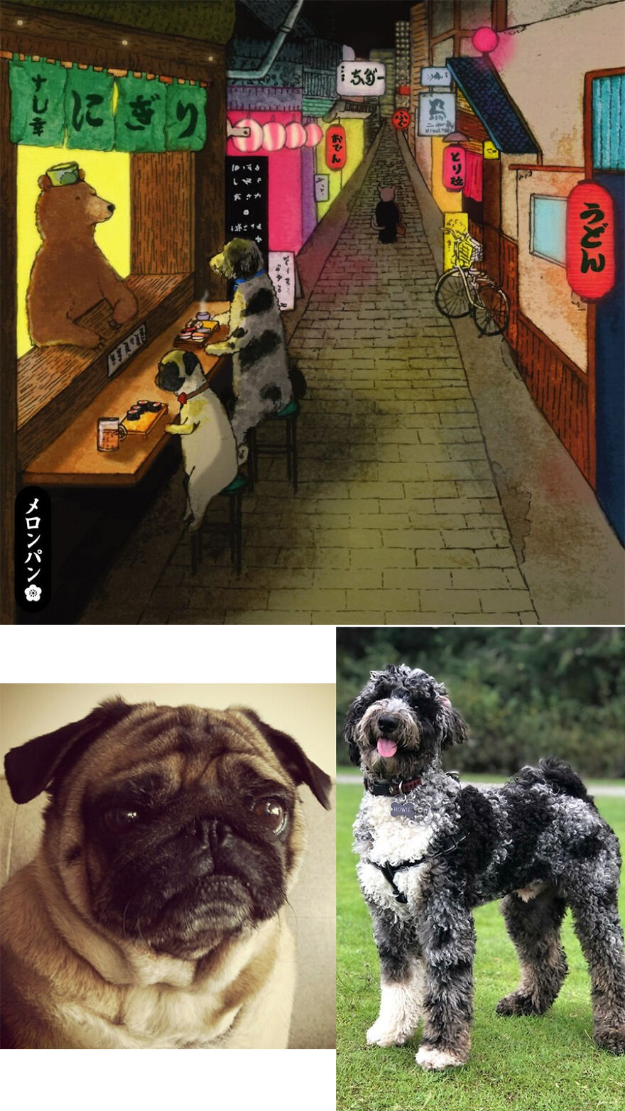 I Captured The Personalities Of These Pets To Make My 13 Latest Illustrations
