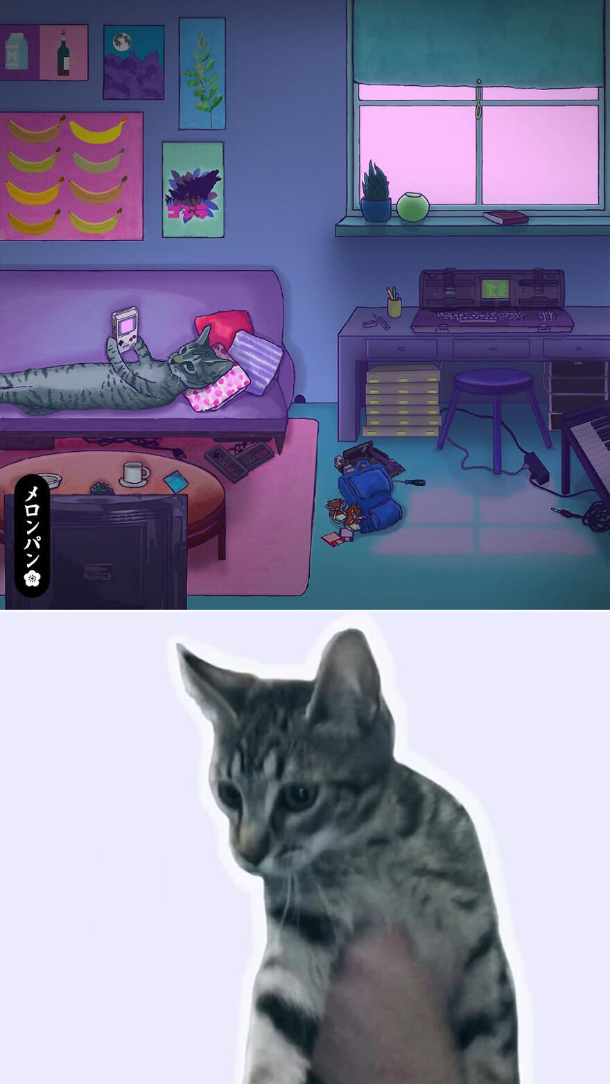 I Captured The Personalities Of These Pets To Make My 13 Latest Illustrations