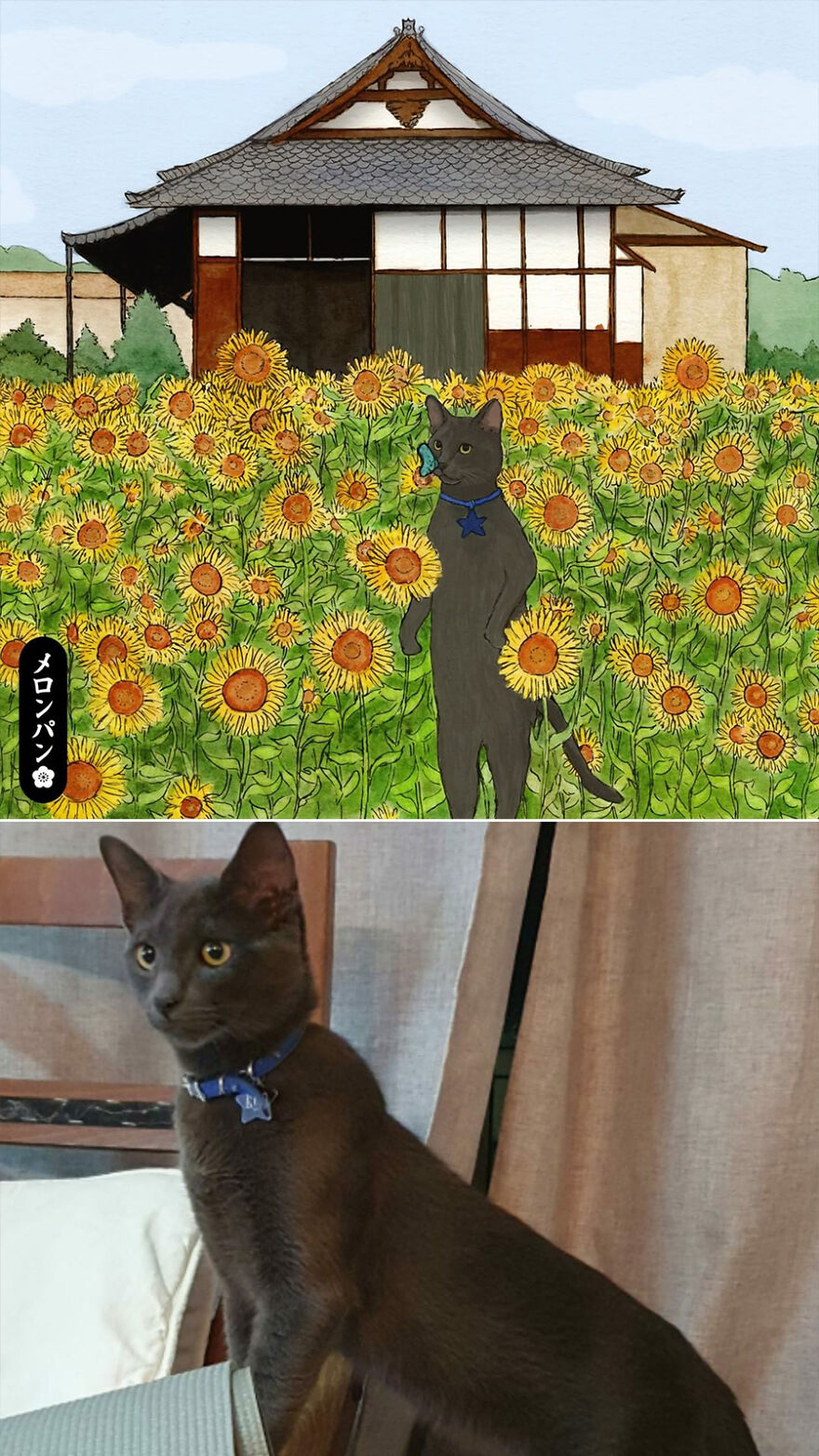 I Captured The Personalities Of These Pets To Make My 13 Latest Illustrations