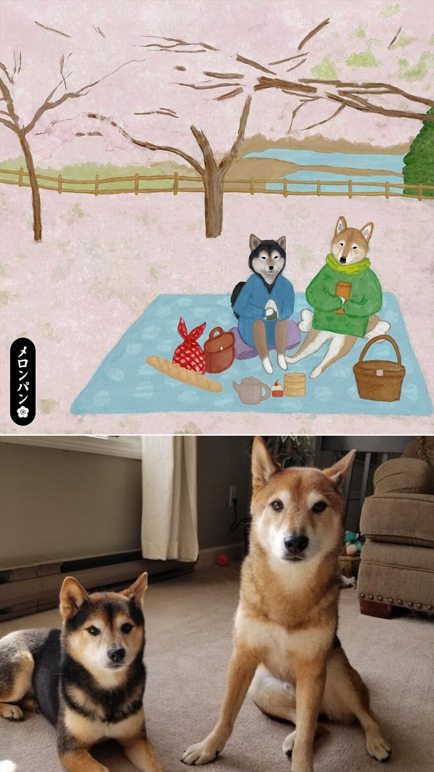 I Captured The Personalities Of These Pets To Make My 13 Latest Illustrations