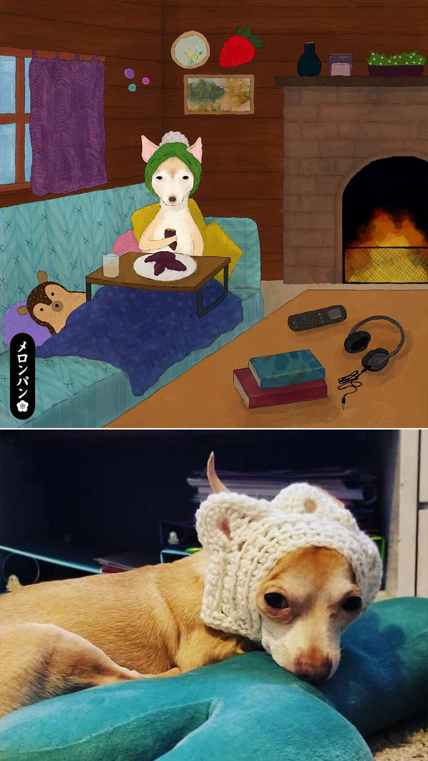 I Captured The Personalities Of These Pets To Make My 13 Latest Illustrations
