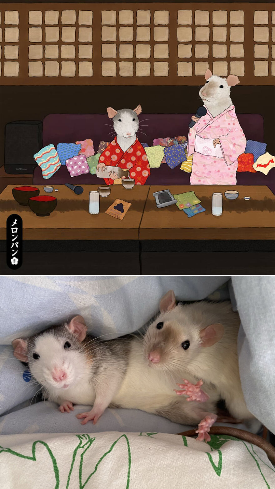 I Captured The Personalities Of These Pets To Make My 13 Latest Illustrations