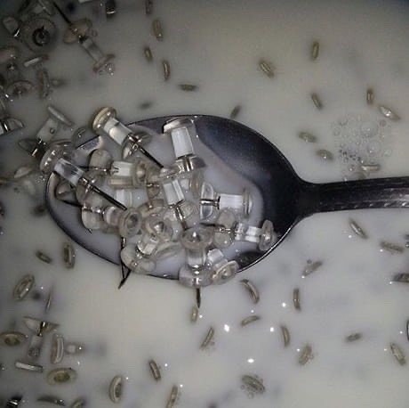 strong baby eat the sting meal strong baby eat the sting meal
