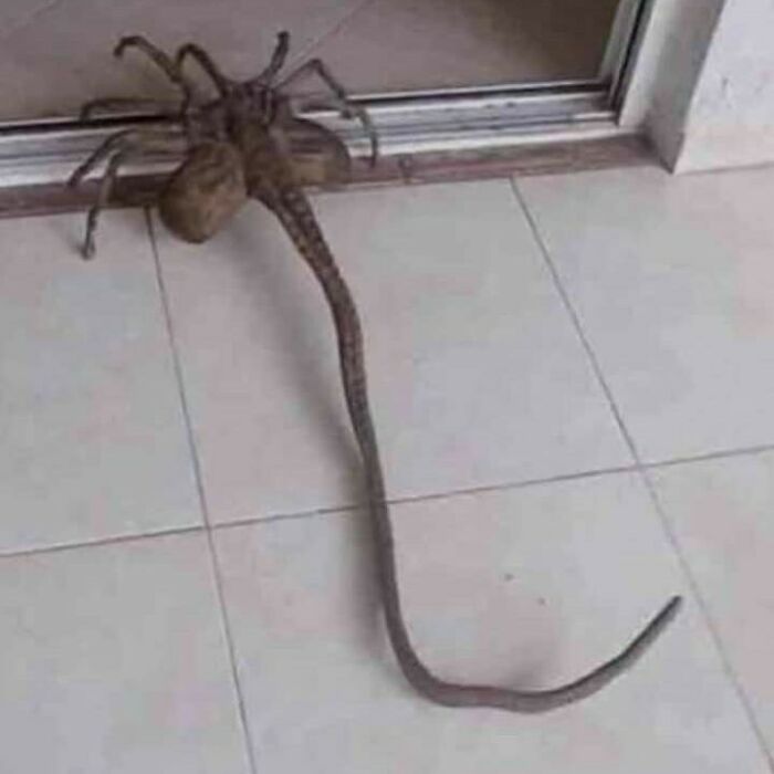 anyone know what this is? anyone know what this is?