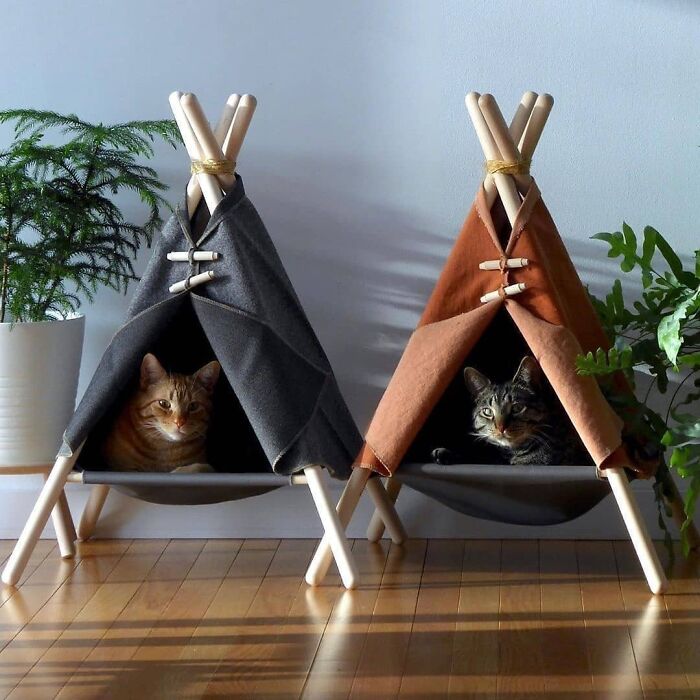 Adventure Tent Cat Bed By Tinkertradingco