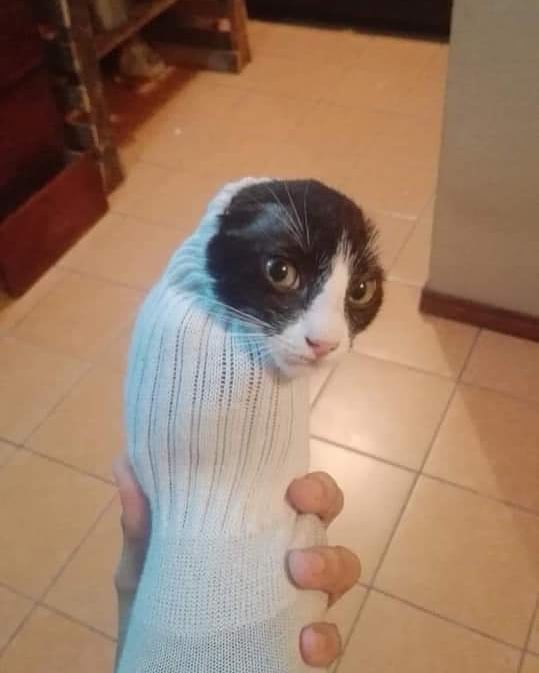it's too dangerous to go alone. take this