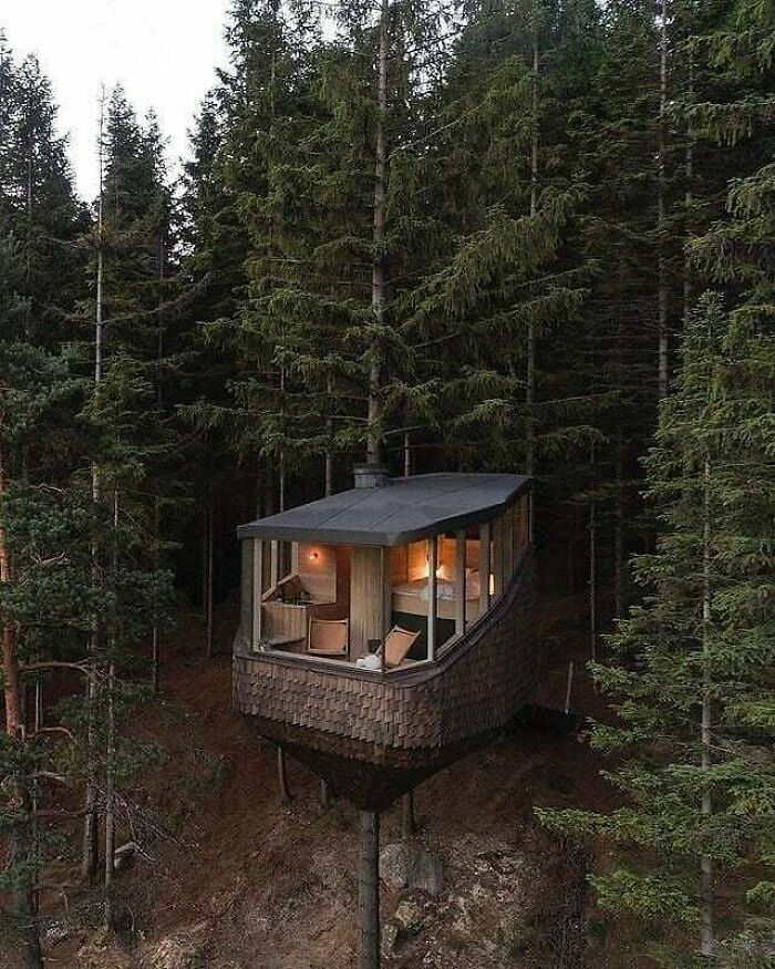 Stunning Treehouse!