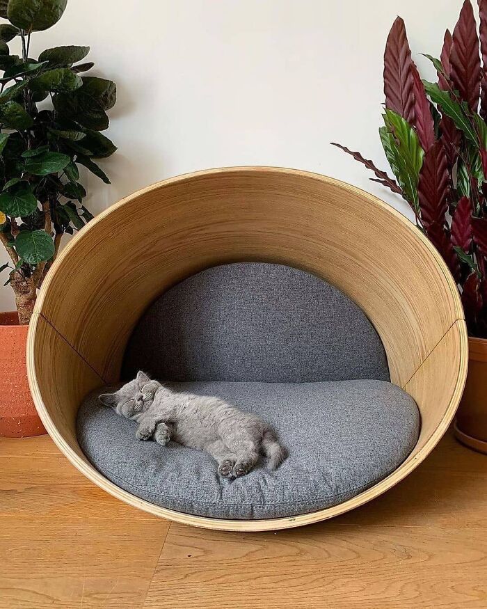 Kyali Oval Pet Bed