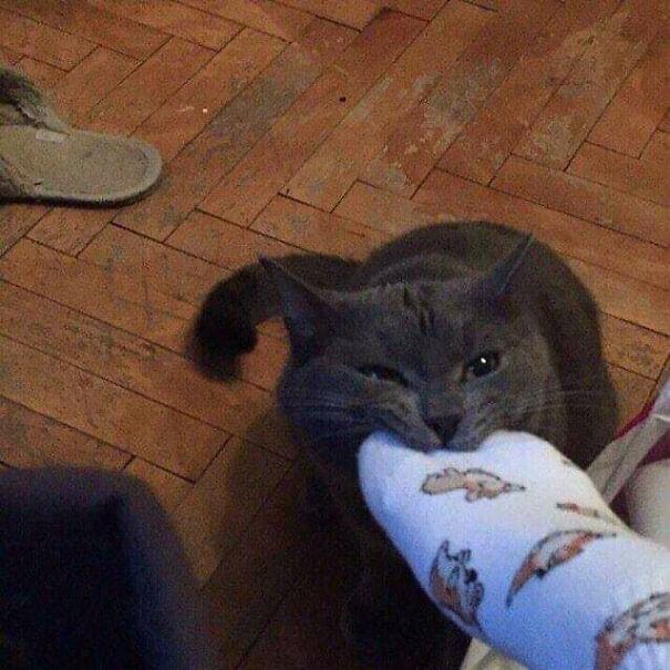 monch