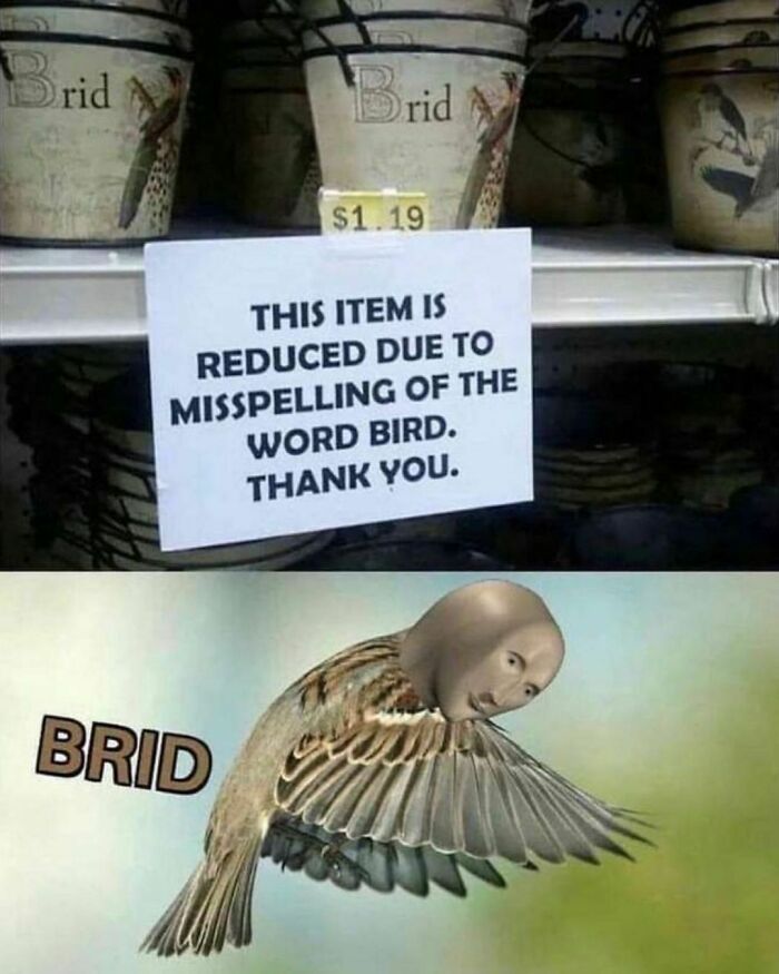 Brid
|follow @memes.bird (Me) For Daily Bird Memes!|
🔴my Other Accounts: @didyouknowgamingfacts, @bestofgamingmemes, @featured.memes, @memes.birds (Backup)
-
#bird #birds #birb #birbs #birdmeme #birdmemes #birbmeme #birbmemes #meme #memes #bestmemes #funny #lol #haha #hilarious #dankmemes #funnymemes #dankmeme #funnymeme #animal #animals #animalmeme #animalmemes #nature #wholesome #wholesomememes #pet #pets #cute #surrealmemes