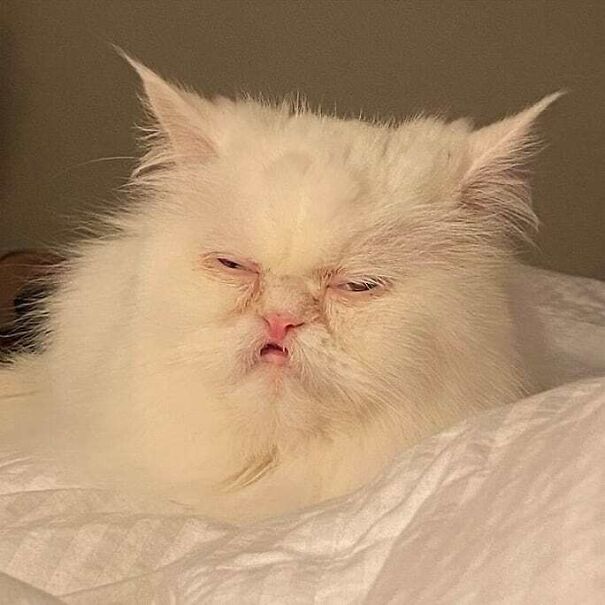 waking up after a quick nap after lunch