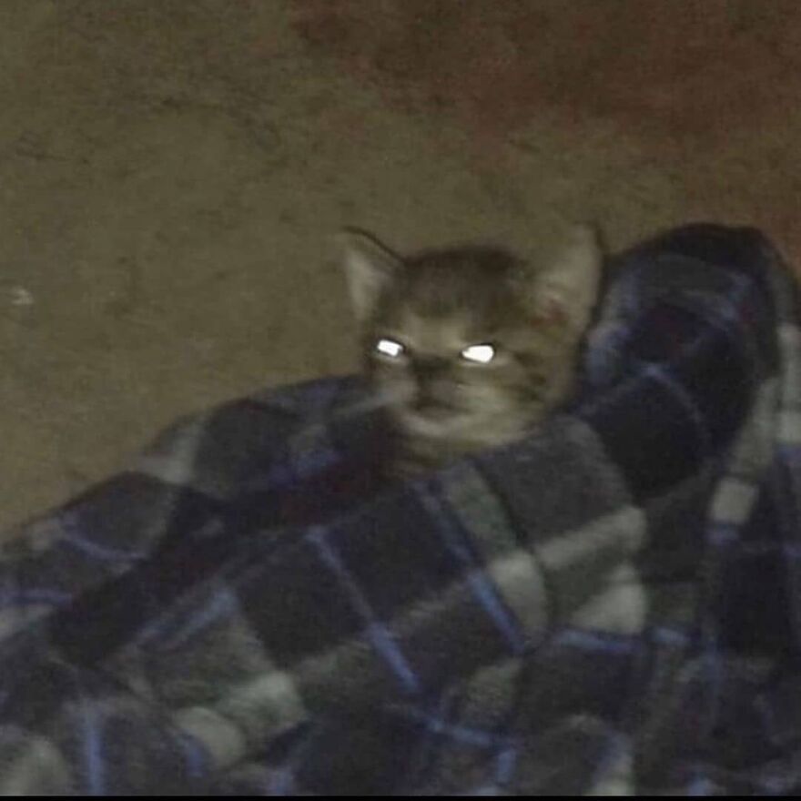 who woke me up
