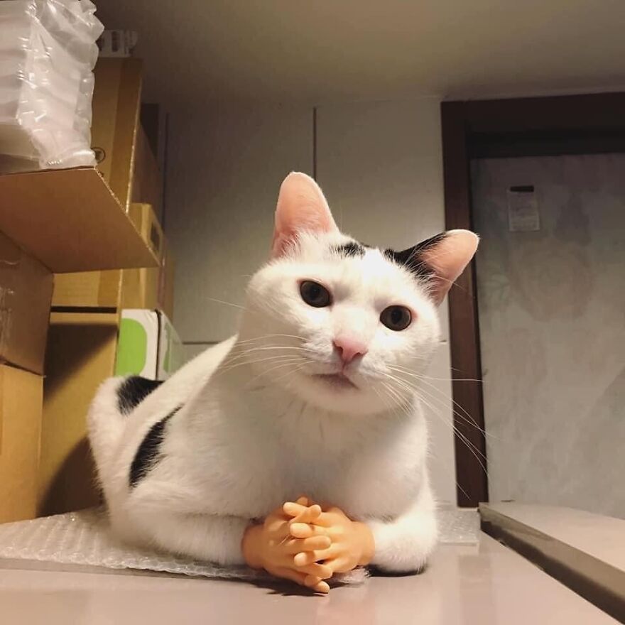 son, we need to talk