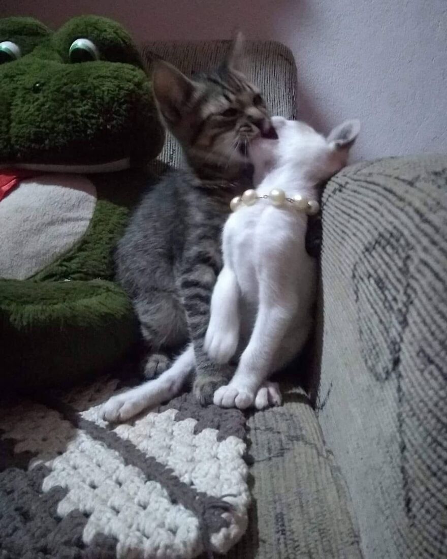 this could be us