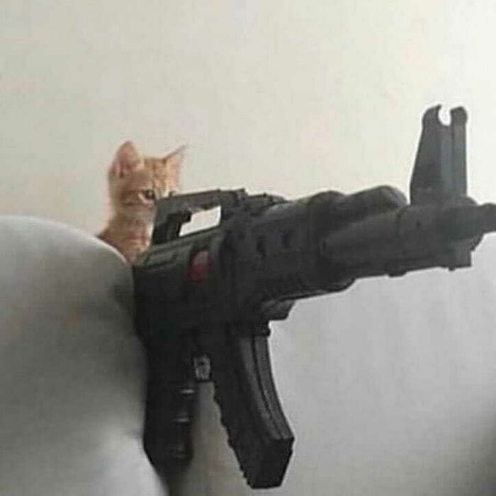 peace was never an option