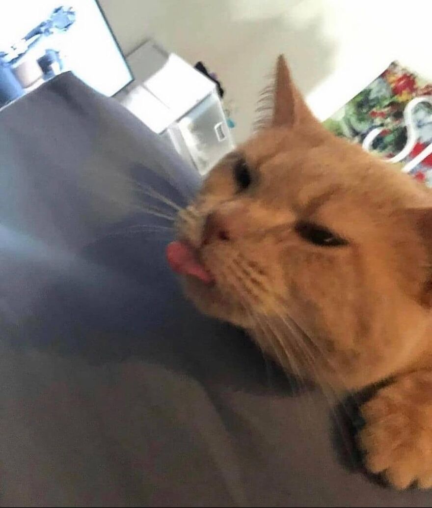 big blep big blep