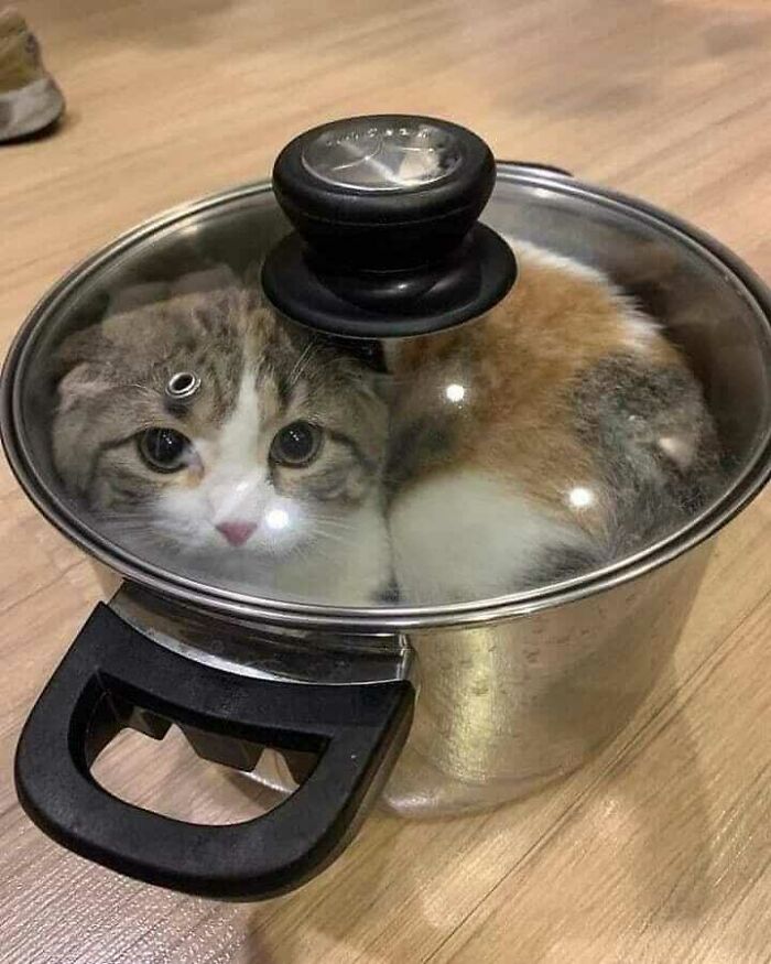 lunch is ready