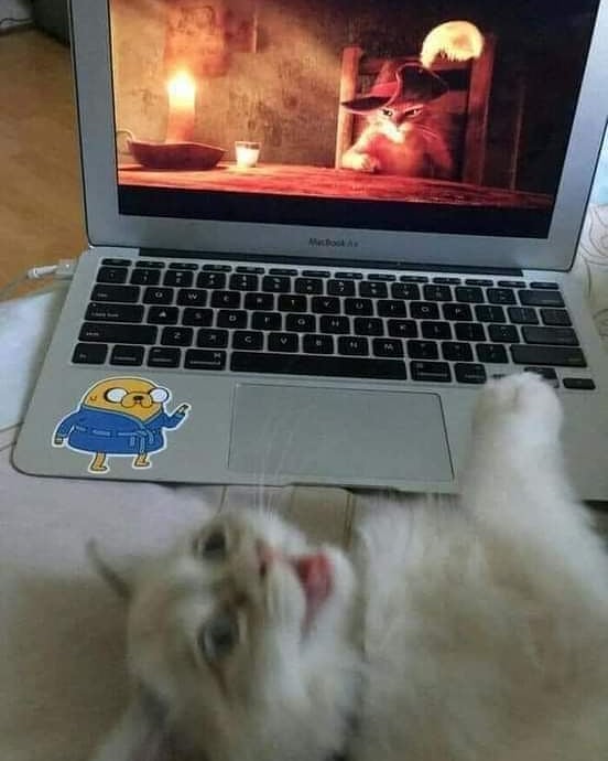 he's just like me!!