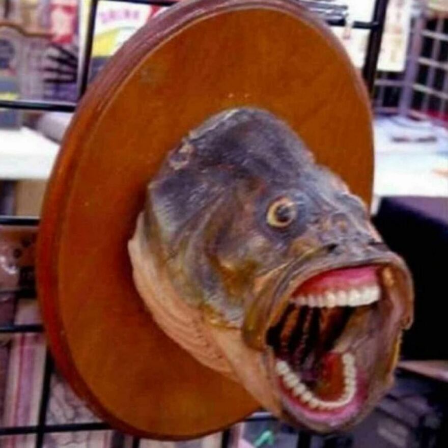 F̶̝̯̫̻̳͔̂̾̀̅̋̓̊̂̐̊͛E̵̢̫̝̥̻͆́̽͑͗͆̂̄T̸̛͎̯̗͎̤̫̣̯̯̬͂͒̑̊̆̈́̑̃͋͐̑̊͘͜͝Ç̵͍̣̲͙̱̬̞̗̄̌̾̄͌̈́̀̿́̍ͅH̴̞͉̺̞̳̲͓̯͇̭̩̓̋̾͒͜ ̵̘̈́̍͘M̴̡̧͎̦̗̠̥̤̺̥̫̖̲͔̅̽̿̎͘E̷̺̮̳̖̜͎͆ͅ ̸̭̰̯̝̍̀͒̋̋͊͋̓͗̎̊̆̚̕ͅT̴̨̺̲̙̽͗͛̅̽̈́̐̀̑͌͘̕͝ͅH̴̳͎̗̅̀̓̎͋͌̾̅̿̐̐͆̀È̸̮̜̤̪̟̪̼̥͉̟͐͗̕I̶̤̝͗̈́͂̓̄̓͠͝R̴̮͙̻͍̟̦̦̄̆͛̋̽̏̿͒̊̀͝ ̷̝̥͈̥̳̀̅̂̃̔̈́̌̈͑̈́̕S̸̨̧̢̡̛̻̘̹͇̖̘̭̻̪̗̆̊͐̆̑̎͘Õ̶͓̬̂̋̃͝U̴̪̪̣͔͊̏̐̿̆̀͊͗̈͝L̷̛̙̩̫̀̑͐̓͆̈͋́͊S̴̡̛̛̫̙̘͇̺̽͊̐̇̋͆͗̈́̓͛̀̚͝