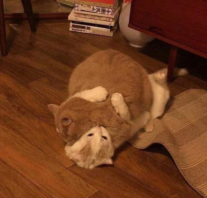 this could be us