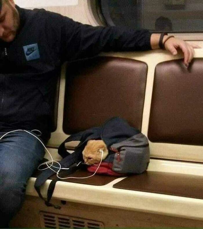What Is He Listening To?