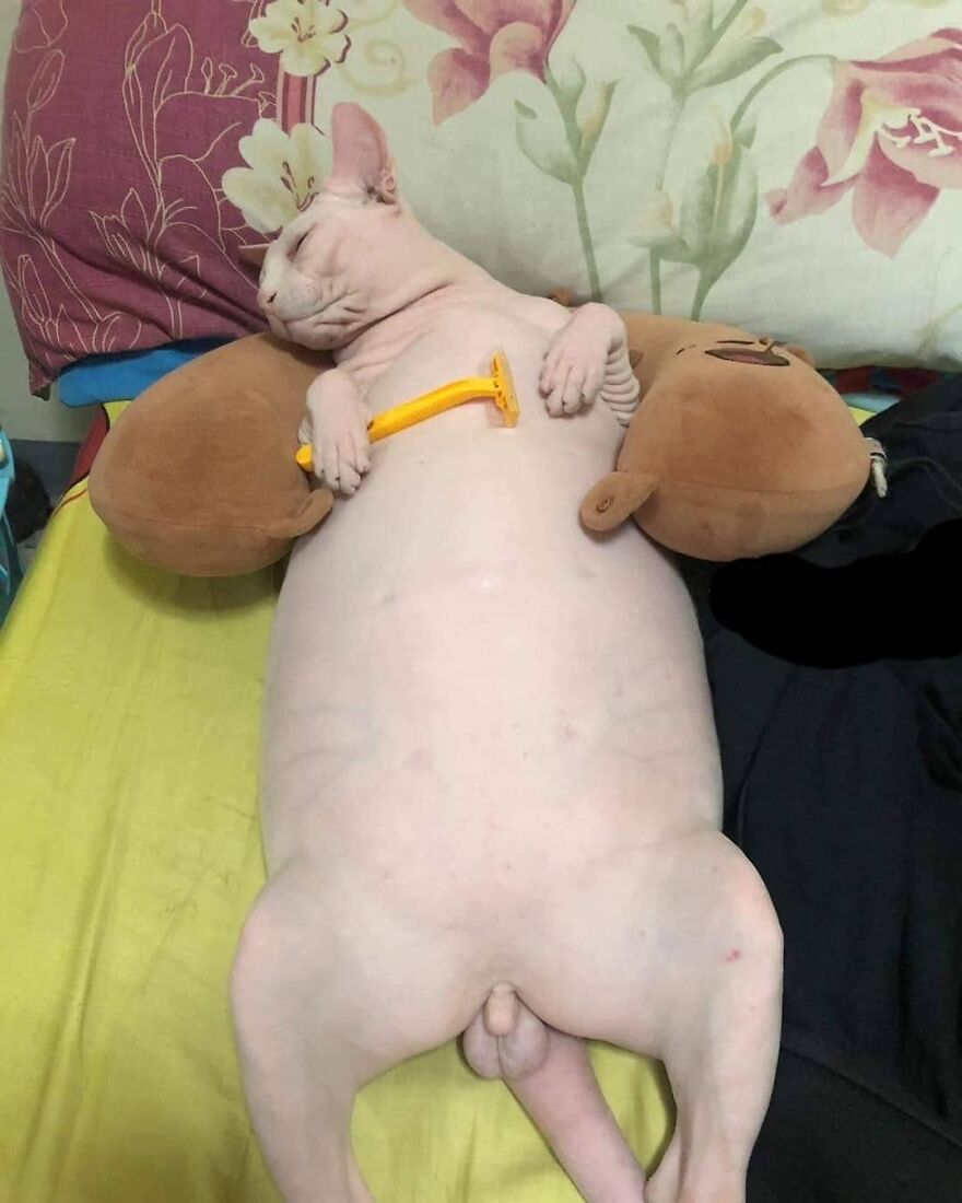 gn yall