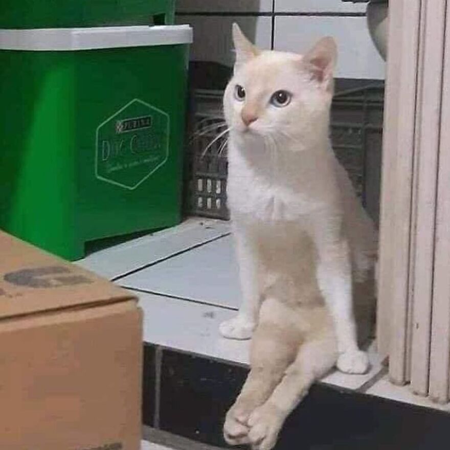 polite