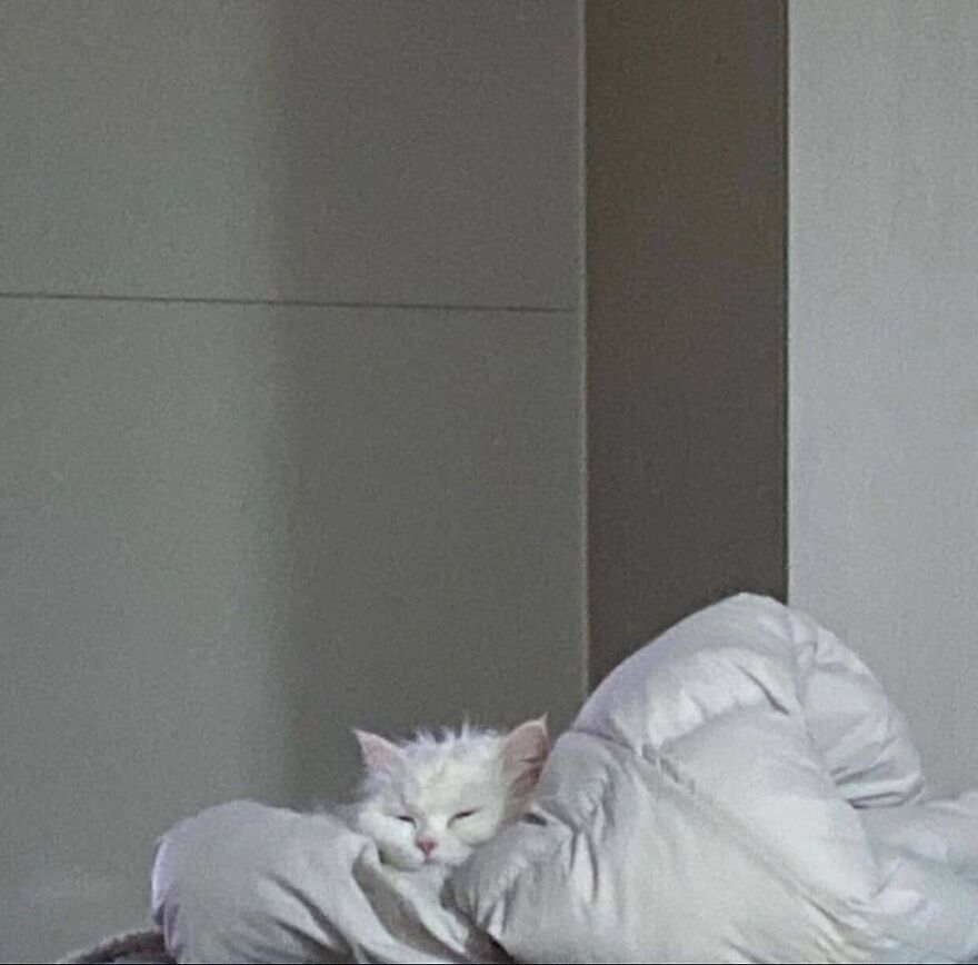 gn all
