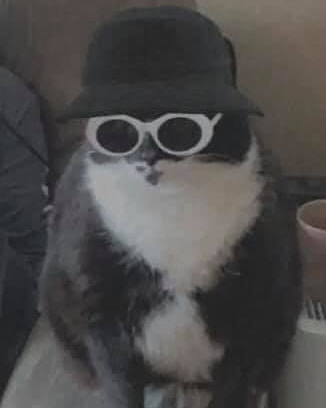 it's not a phase mom