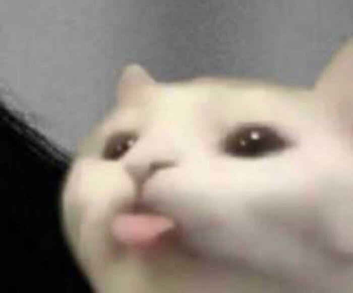 👅 👅