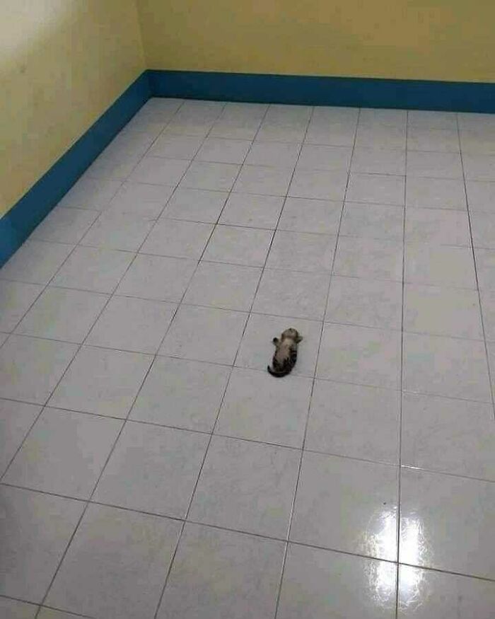 ᶻᶻᶻᶻᶻᶻᶻᶻ