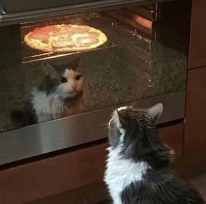 Obligatory Existential Crisis While Pizza Is In The Oven