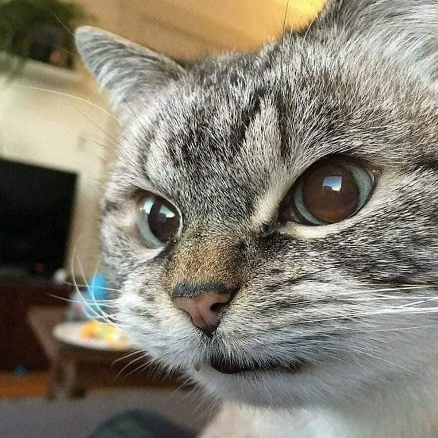 determined