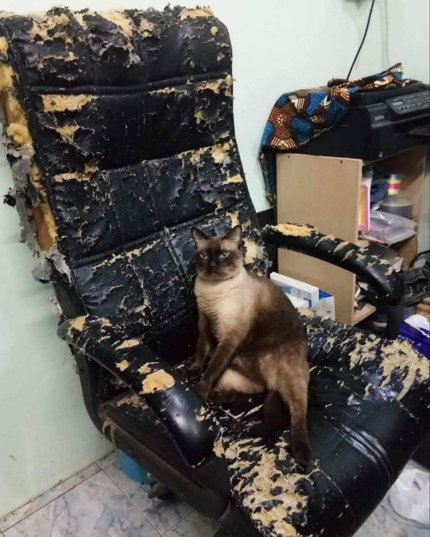i wonder who did it