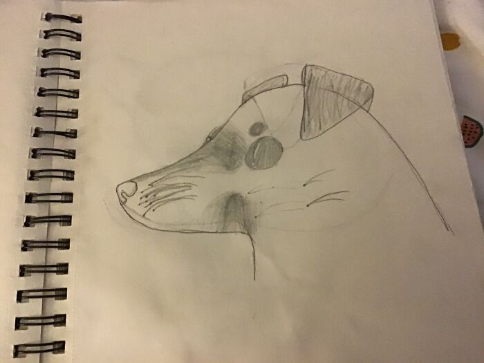 An Old Drawing Of My Dog That I Did When I Was Eight. It’s Not Great But It Has Lots Of Sentimental Value.