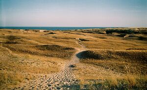 Hey Pandas, Post Your Favorite Summer Photo